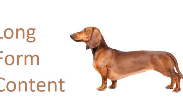 Long Form Content