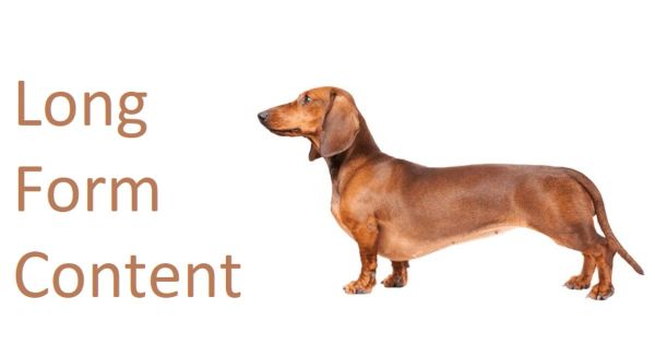 Long Form Content