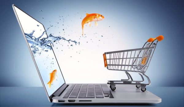 Στρατηγικές SEO για online Shops